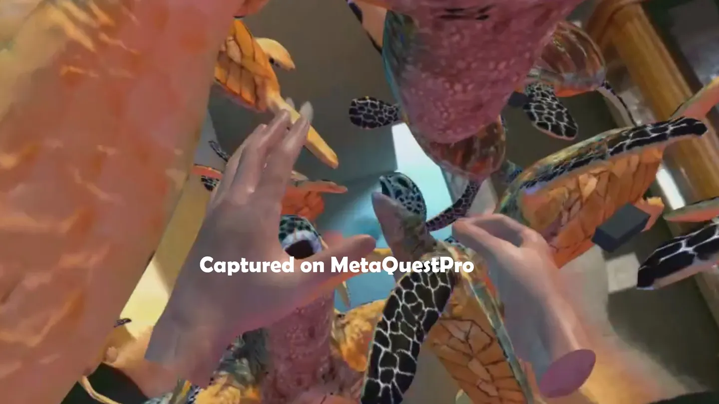 #2. Ocean Passthrough (Meta) โดย: ZOSU